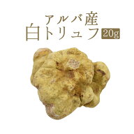 ◆アルバ産 白トリュフ 【送料無料・予約不要】 トリュフ truffe ＜イタリア アルバ産＞【1P＝約20g】【…