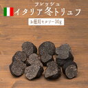 【送料無料】フレッシュ 冬トリュフ （黒トリュフ）＜お徳用 モルソー＞ トリュフ アンジェロッツィ社 ＜イタリア産＞【30g】【冷蔵品】