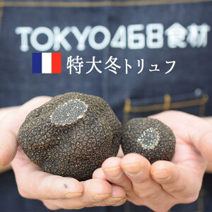 yz偄@tbV@~gt@igtj@GNXg@gt@tXy1100-150gzy450iŔj/1gČvZzy①iz