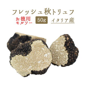 yGߌztbV@ Hgt @I[^gt p \[ gt C^AY y50gzy①izy①iz