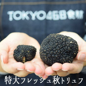 【季節限定】フレッシュ 特大 夏トリュフ サマートリュフ エクストラ トリュフ ＜イタリア産＞【1個＝100gUP】【冷蔵品】