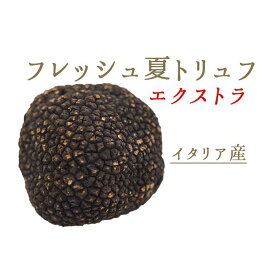 【季節限定】フレッシュ　夏トリュフ　サマートリュフ　　　エクストラ　トリュフ　＜イタリア　マルケ産＞【30g/50g/100g 】【冷蔵品】
