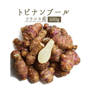 gsiu[iLNC@ej@topinambourtXy500gzy①iz