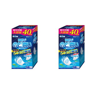 RXgR KK[ĥǏʂ}XN 40CT 2Zbg }XN  ێ AQp ԕ ח\h e KK[h ̂Ǐʂ}XN