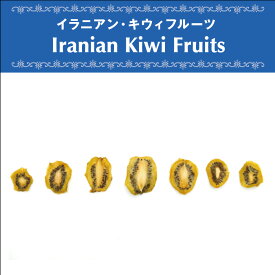 ドライキウイフルーツ 250g 天日乾燥 ドライフルーツ 無添加 無漂白 砂糖不使用 オーガニック ヴェガン ベジタリアン 自然食品 天然素材
