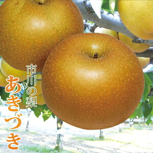 y9{o׊Jnz sY t Yn`̖ys̗ Â 5L 8`10z 蕨