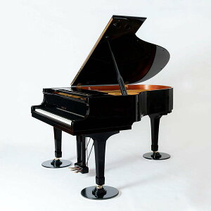 ���⋭�p�l�� �O�����h�s�A�m �h���}�b�g�p�l�� 3���Z�b�g �����h�� �s�A�m�h�� ���΍� �������� �� ���� �~�� �X�e�[�W �r�� ���� �t���[�����O ���[���[ �C���V�����[�^�[ �h���}�b�g �h��