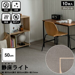 h^CJ[ybg ÏCg h}bg 10Zbg 1P[X 50×50cm h hDIY Kւ̖h΍ Չ   Ռz hU U U   }V   s