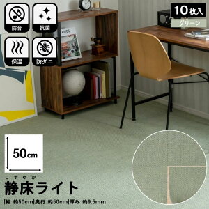 h^CJ[ybg ÏCg h}bg 10Zbg 1P[X 50×50cm h hDIY Kւ̖h΍ Չ   Ռz hU U U   }V   s