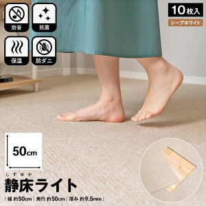 h^CJ[ybg ÏCg h}bg 10Zbg 1P[X 50×50cm h hDIY Kւ̖h΍ Չ   Ռz hU U U   }V   s