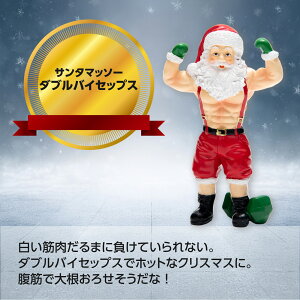 NX}X yXS01180z T^}b\[ _uoCZbvX 11.5cm T^ u NX}X  }b` T^N[X IuWF fBXvC  킢 ʔ  CeA M