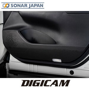 tghALbNK[hV[g PVC J[{ 80n nA[ SilkBlaze VNuCY 80nA[ hAgK[h TChhA J[pi hALbN  ی p[c JX^ hA K[