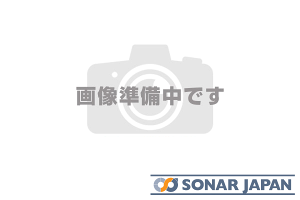 SilkBlaze VNuCY30nAt@[h Ft@CAGWJo[ WETJ[{si