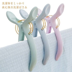 Nbv  zcJo[ V[c ^I ^ Ղɂ ƃs`  s` zc΂ oT~ 傫TCY