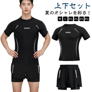 bVK[h Y 傫TCY  Zp[g Ci[t j p z T[tpc ̌^Jo[ UVJbg