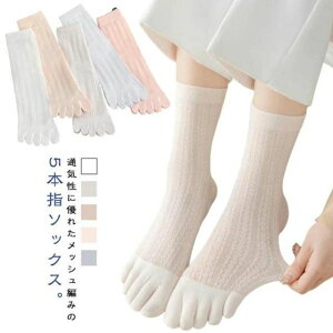 7Zbg 5{w\bNX X|[c Rbg   Xj[J[\bNX 5{wC 킢 \bNX ėp ܖ{w\bNX