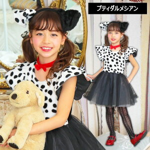 RX`[ ߑ RXv RX 101 Aj}  C   ʎ J`[V  Ck  _VA 񂿂