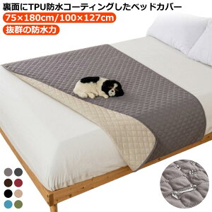 xbh QJo[ h ybgV[c xbhXvbh xbhJo[ h͔Q \t@Jo[ }`Jo[ hxbhJo[