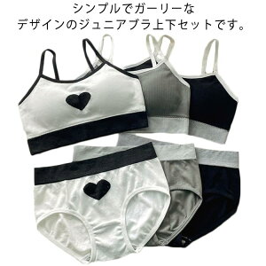 q WjA  w w ̎q n[g X|[cu ugbv WjAu uV[cZbg LbY WjA