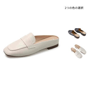  r ɂ zCg ubN  t  ~[T_ fB[X ₷ [t@[ tbgT_C ~[