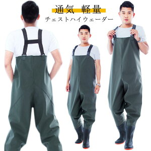 }X C tC   Cނ 傫TCY t ^b`xg kނ k tC  ނ EF[_[