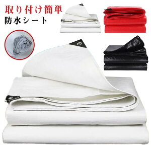  悯  CV[g Ă~ 悯 AEghA Iz Dz tȒP ډBVF[h TVF[h Op