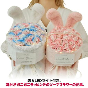  ޏ   e j LO \ u[P  KN o j Mtg NX}X Cxg a v[g ԑ