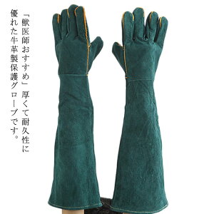 L 60cm  Q쏜 ݂h~ ঒  ~ bt ܐ؂ v O[u K[fjO 