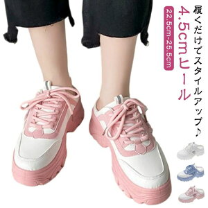 ƂȂXj[J[ ʊw T_ XN[V[Y fB[X ؍t@bV 22.5-25.5cm ʋ  C  C