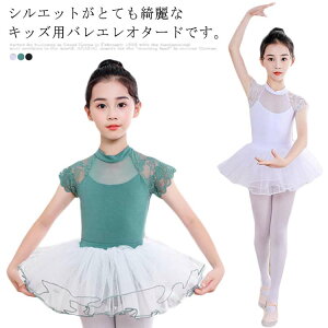 I^[h q LbY WjA  XJ[gȂ w VGbg  oGI^[h oGpi