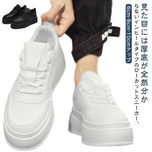 8cm Y YV[Y Y 6cmAbv Xj[J[ JWA Xj[J[ V[NbgV[Y Ȃ