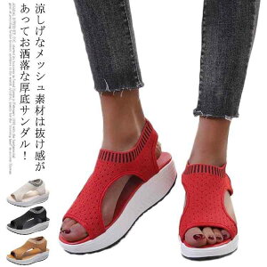 T_ fB[X Xj[J[ T_   X|[cT_  X^CAbv X|[eB[ Ȃ