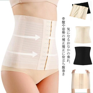 T|[^[   xg 傫 t ėp  킢  ڐG⊴ fB[X ͂܂    