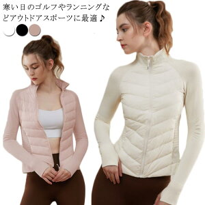 ~ fB[X   ۉ h ejX EH[LO 