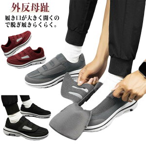 V[Y OΉ Ch L ₷ fB[X O V[Y  O ʃt@Xi[