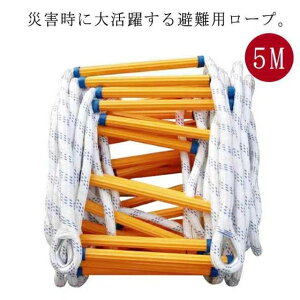 ~ ͂ _炩 ƒp h͂ Sq ͂ ~[v ͂ ͂ Ƃ͂ [v_[