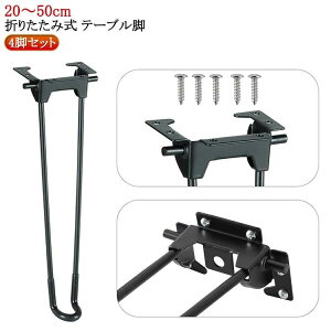 ܂ Zbg p e[űr  DIY 4rZbg X`[ ܂肽 p[c ubN 20`50cm ܂ r 4{Zbg