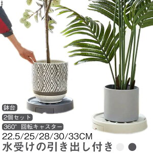  ϗtA A 4   M u M rg[t Aؔ O y2ZbgzLX^[t u ی^