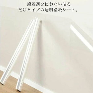 ܂Ƃh~ h~ lR L  ΍  q LbY EH[XebJ[ یtB \Ă͂ ǕیV[g 