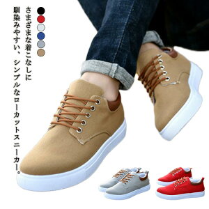 j 傫TCY JWA Xj[J[ C Xj[J[ LoX rWlX V[Y y [Jbg Xj[J[ V[Y