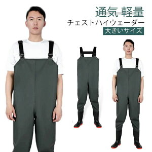 }X C tC   Cނ 傫TCY t ^b`xg kނ k tC  ނ EF[_[