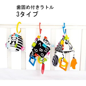  `ChV[g xr[J[ 1 0 6   v[g Ԃ KK xr[ Ԃp