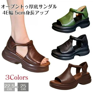  y [}  5cmgAbv 4E ̌ EFbWT_  ₷  fB[X T_ T_