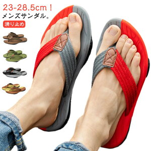  T_  l T}[ y V[Y ₷ C  gOT_ r[`T_ AEghA Y fB[X