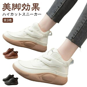 EH[LOV[Y nCJbgXj[J[ RtH[gV[Y Xb| Xj[J[   JWA