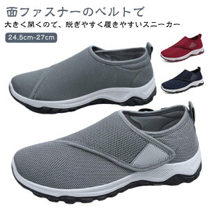 ₷ C 傫TCY nrV[Y RȂXj[J[ bV }WbNe[v xN y Xb| Xj[J[