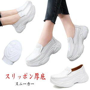  _ Xb|V[Y ʊw ʋ zCg EH[LOV[Y TChSA 5cmq[ Xj[J[ fB[X 