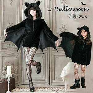 KC fr zS   ޏ RX`[ nEB  fB[X LbY l RXv zSϐg RE