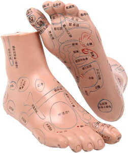 { ˋ  ObY }bT[W c{ObY _CGbg \ } ̌nIɊozK yڃ}bT[W ͌^