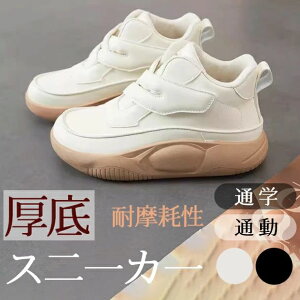 EH[L gAbv ₷ Ȃ ʋC t@bV EH[LOV[Y }WbNe[v Xj[J[ fB[X